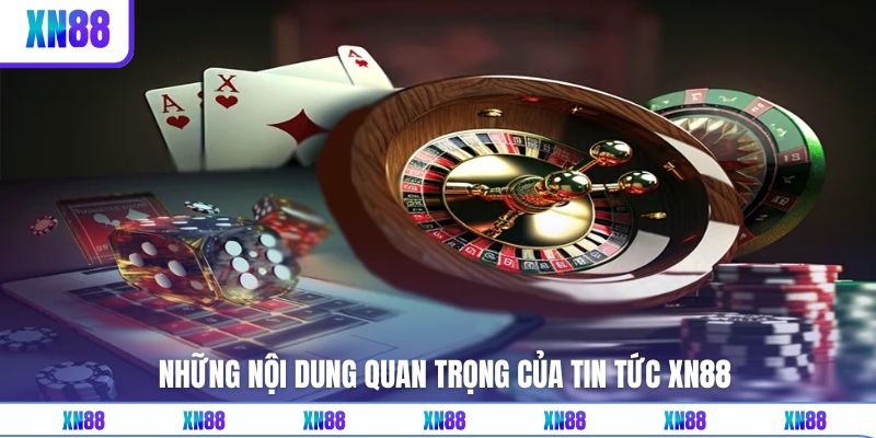 Những nội dung quan trọng có tại chuyên mục
